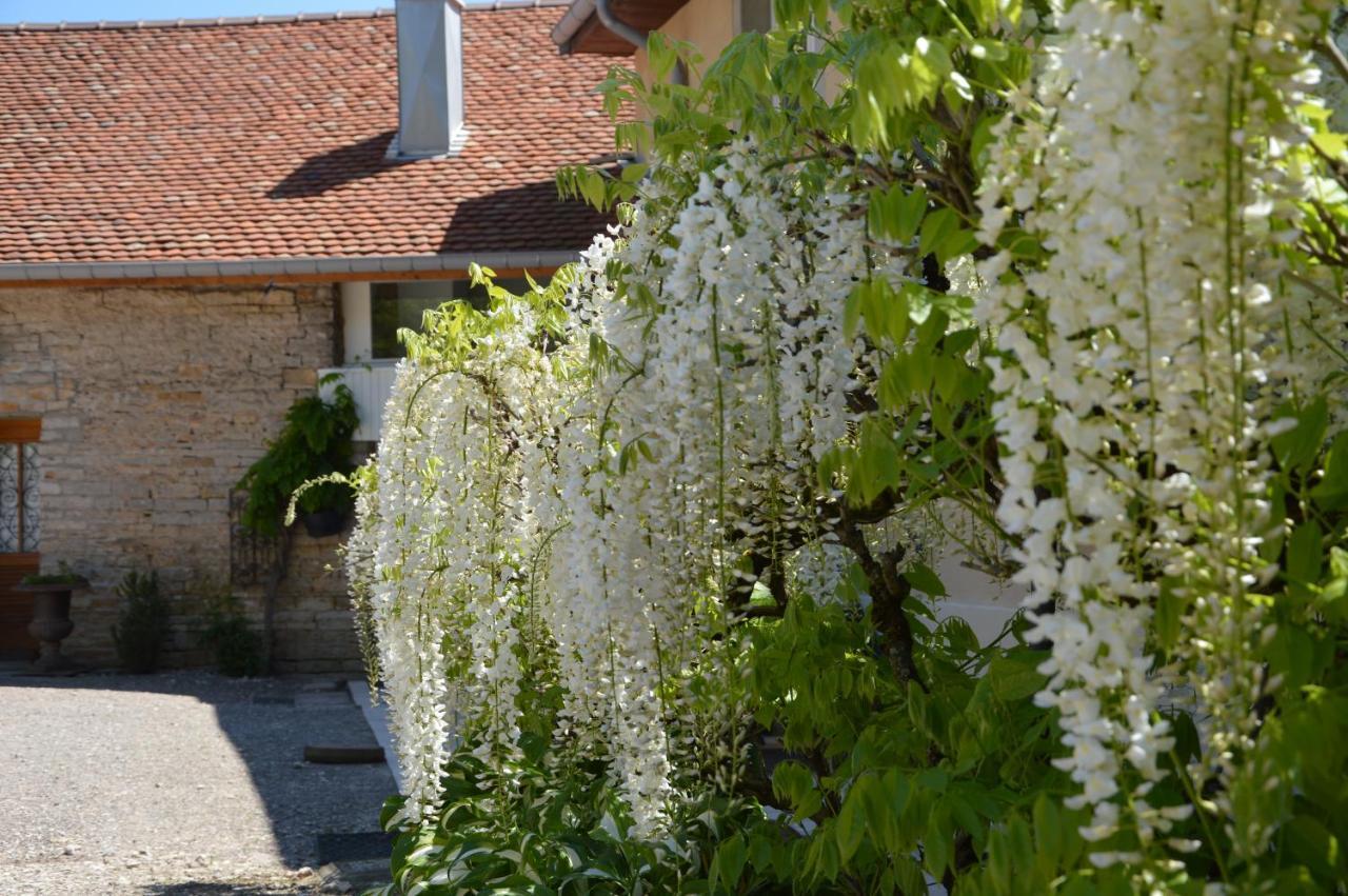 La Ferme Aux Glycines Hotel Aillevans Ngoại thất bức ảnh